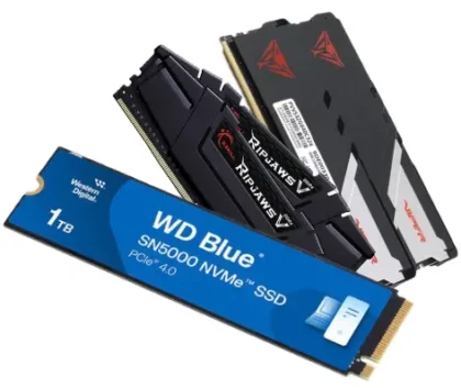 A collection of the Western Digital Blue SN5000 NVMe drive, G. Skill Ripjaws V DDR4 memory modules and Patriot Viper DDR5 memory modules.